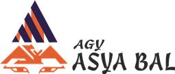 AGY Asya Bal